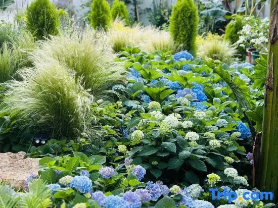 "Seaside·Dali Ocean View Garden Villa (Dali Airport & High-Speed Rail Station Branch)
