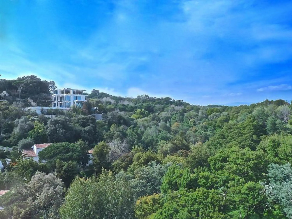 Large Light and Modern 2 Bedroomed Apartment in Cannes With Sea Views Pool and Lovely Terrace - 1503