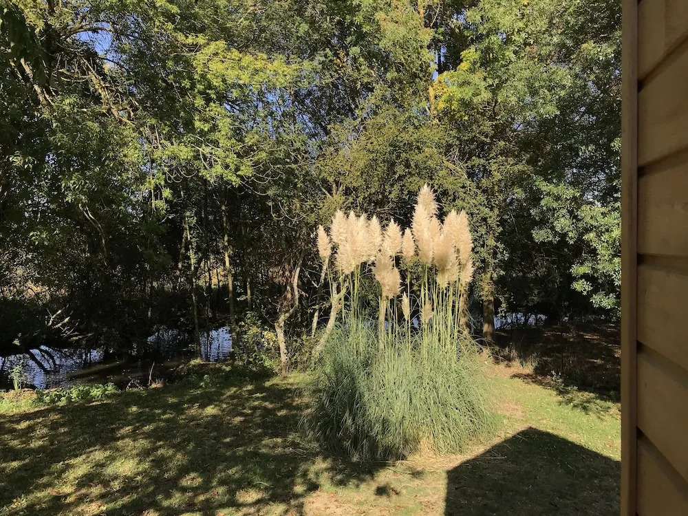 La Calypso