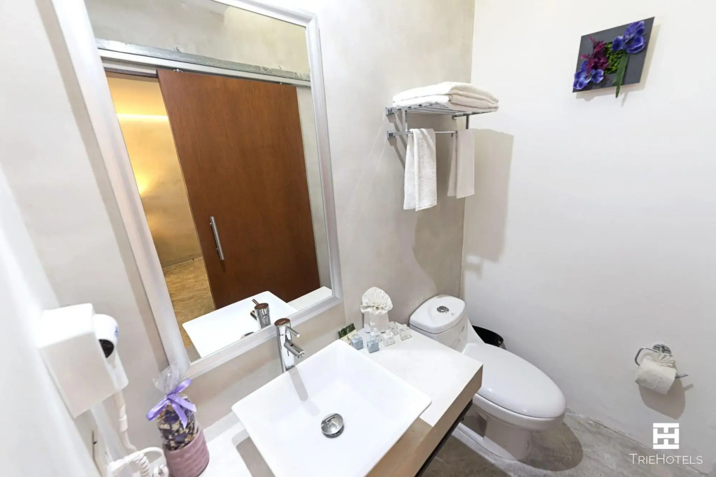 Hotel Urban 101