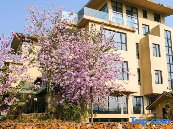 Yimutian Art Hostel