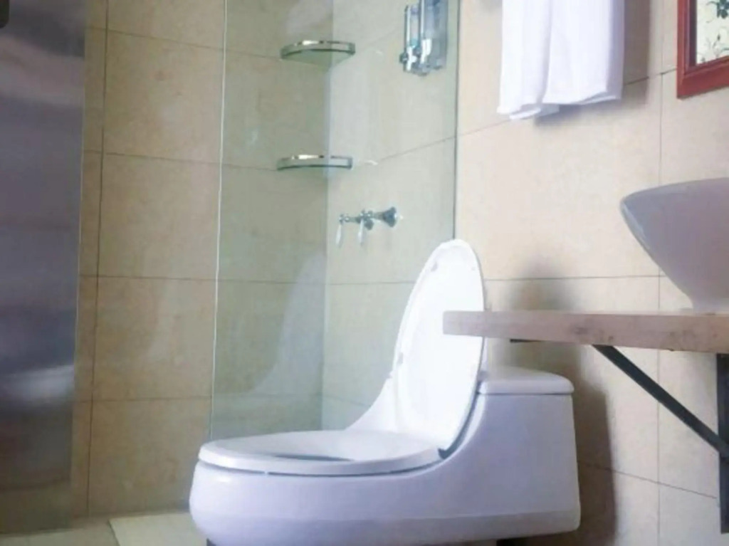 Julong Hotel