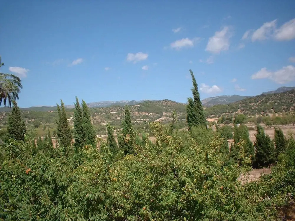 Expansive Mansion in Consell Balearic Islands With Terrace