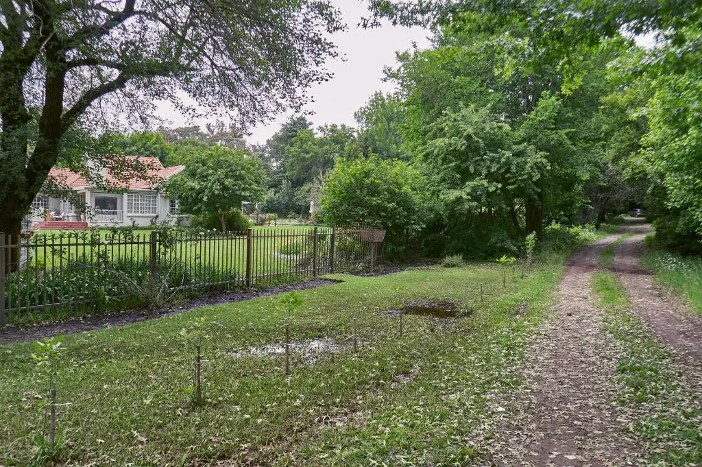 Forest Lane