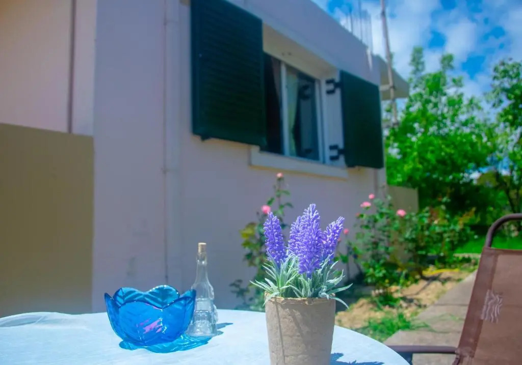 Pagonas House