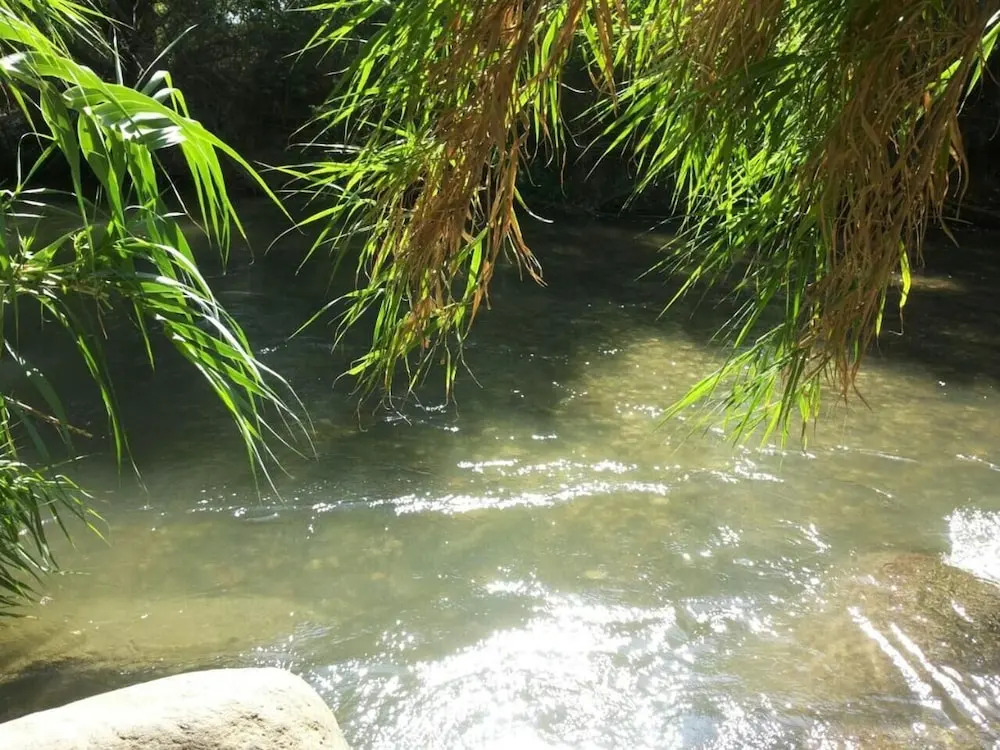 In Our Place