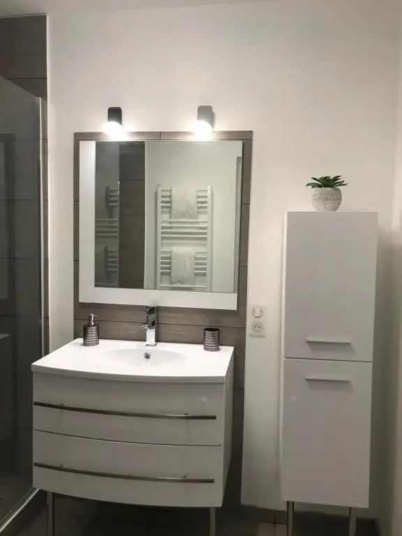 Roanne-centre appartement