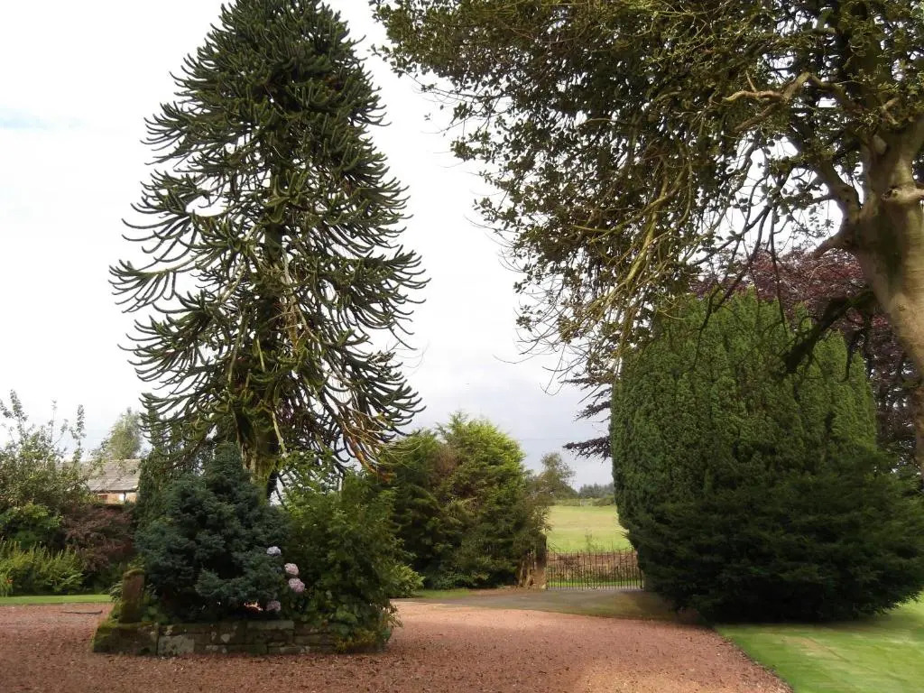 Kirkpatrick House