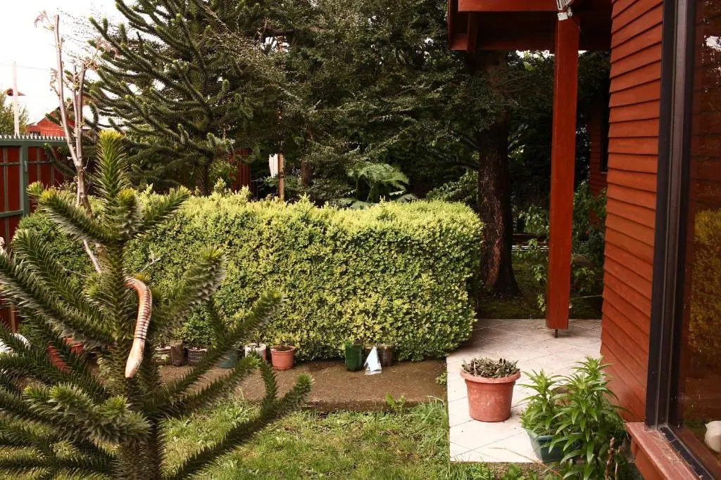 Hostal el Nogal Pucón