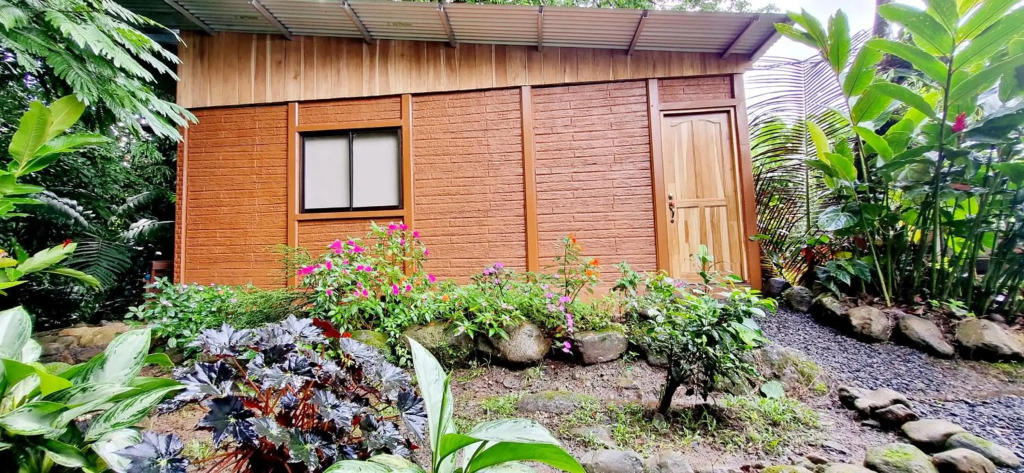 The Frog House