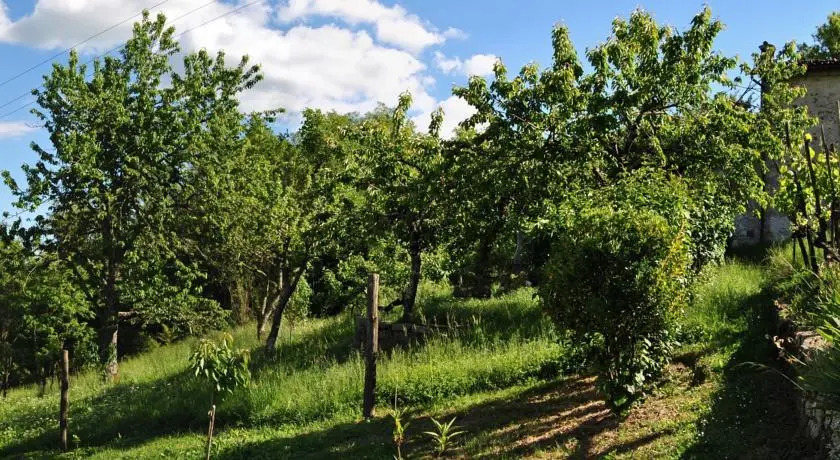 Mozzanella Holiday Home in Garfagnana