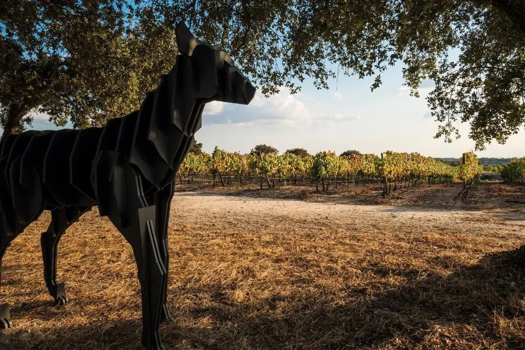 Herdade da Rocha - Boutique Lodge