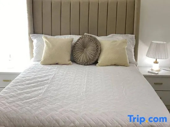 Spacious Condo with Pool, Gym, and Central AC in Santiago