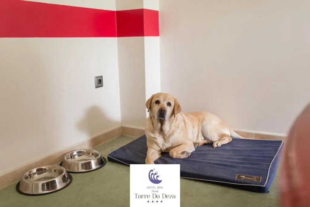 Hotel Spa Norat Torre Do Deza Superior