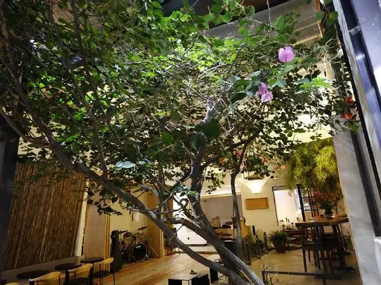 DaLi LOFT Travelling With Hostel