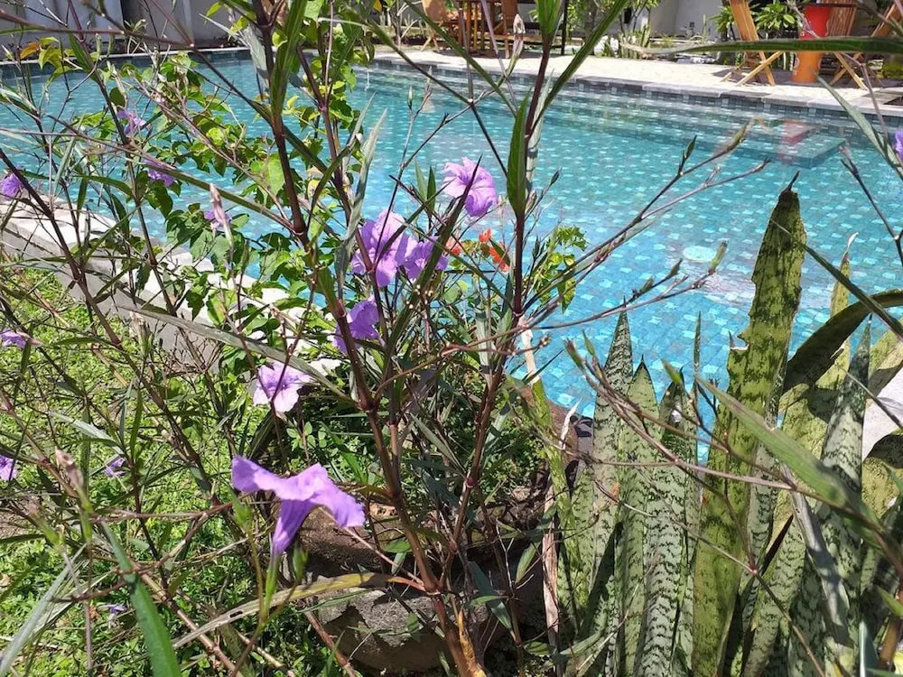 Arta Garden Guest House & Hostel