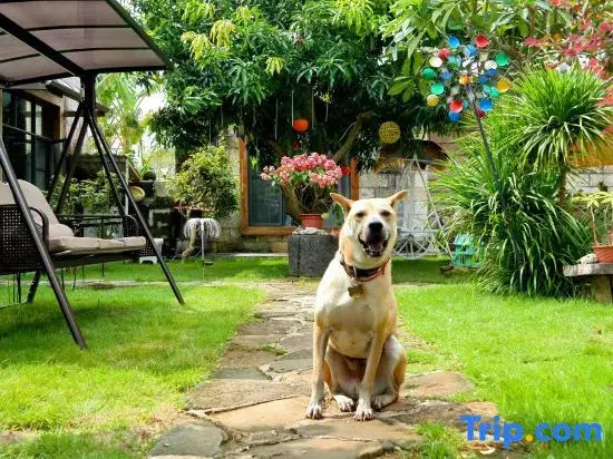 The Secret Garden of Weizhou Island Rabbit B&B (Shell Beach Colorful Beach Branch)