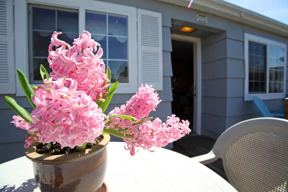 Seaside Governors House Vacation Rental