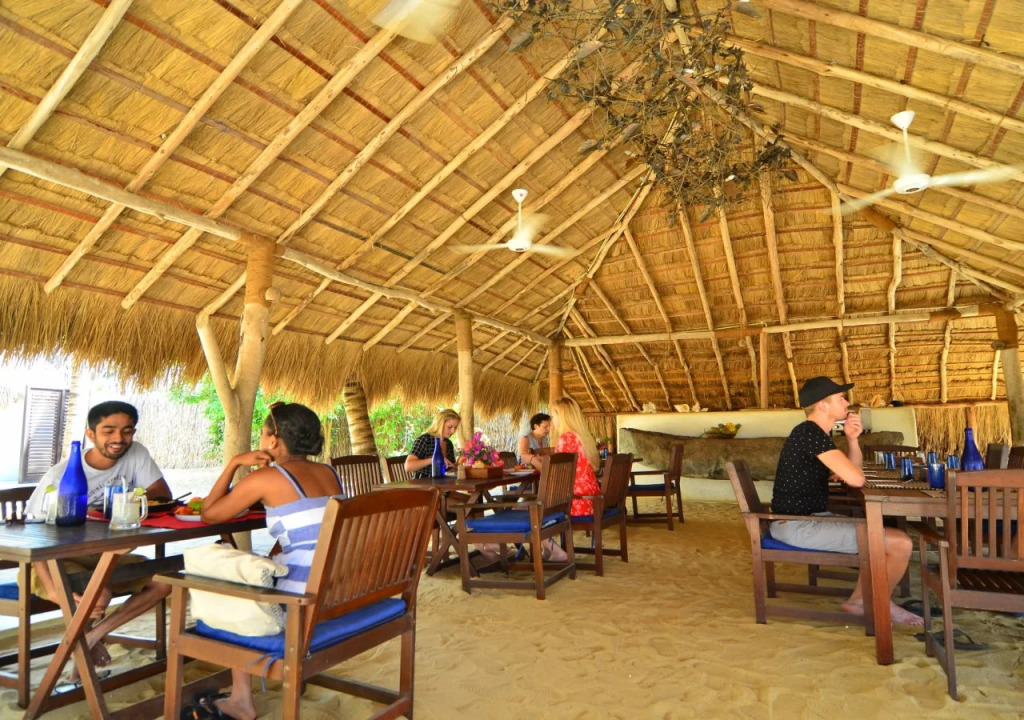 Dolphin Beach Resort - Dolphins, Kitesurfing & Wildlife