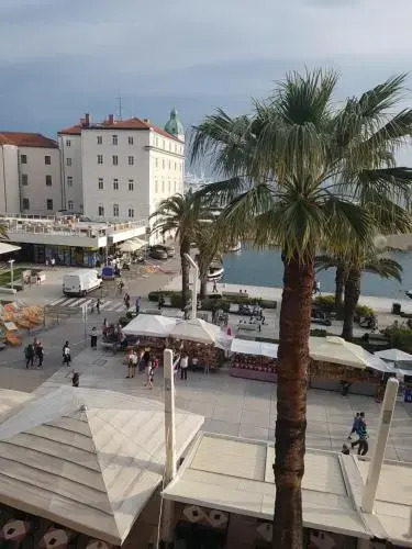 Riva Studios