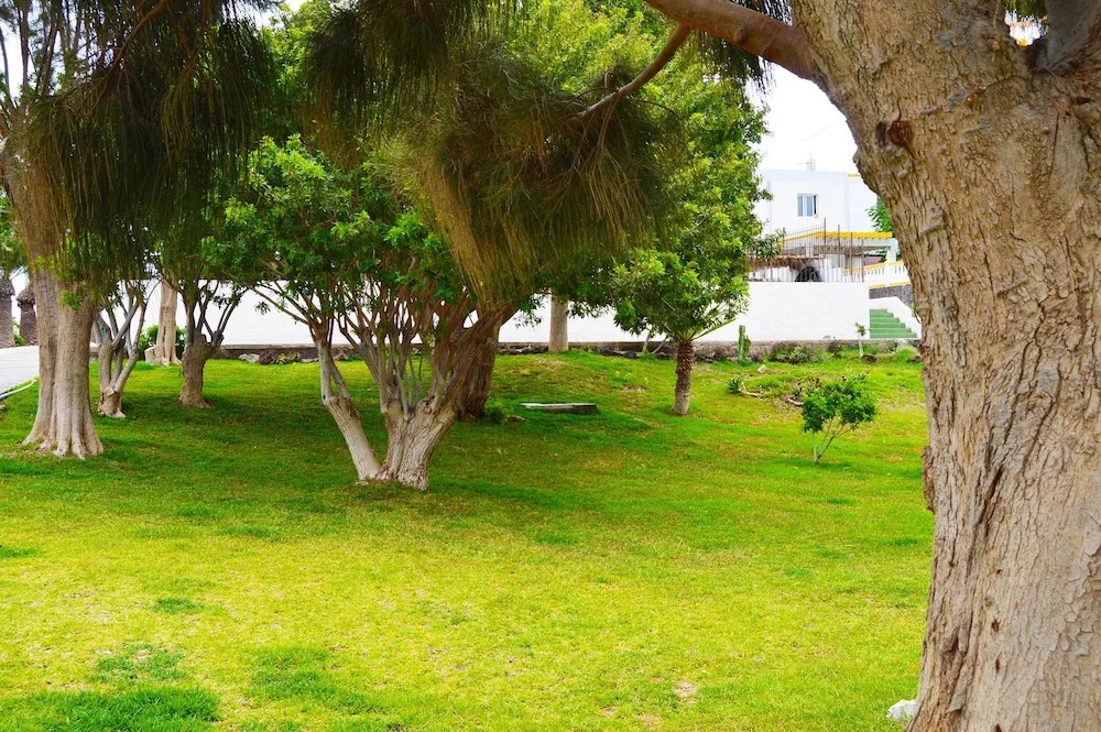 Studio in Santa Cruz de Tenerife, With Pool Access and Furnished Garde