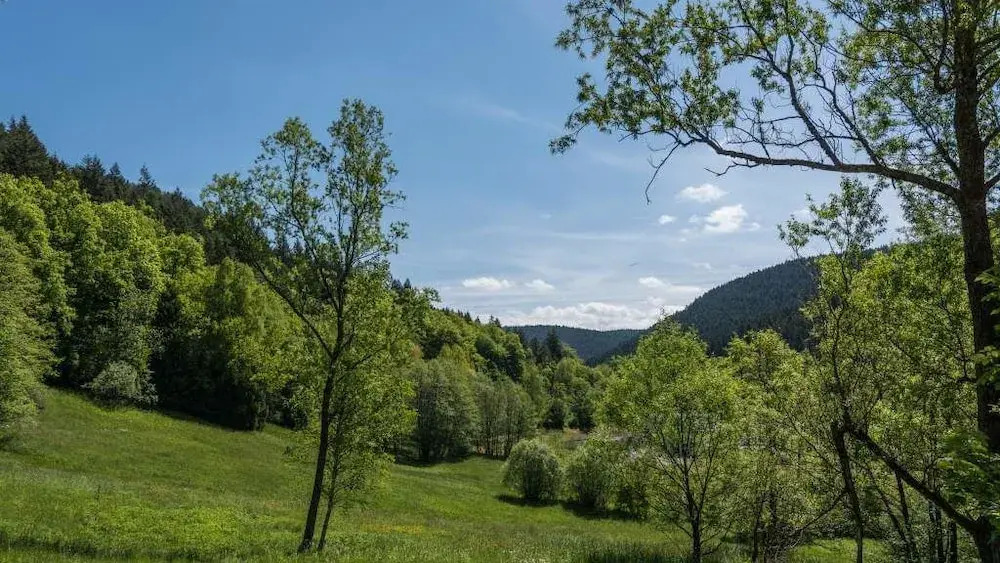 Dieboldsberg: Sauna | Whirlpool | Kamin | Garten