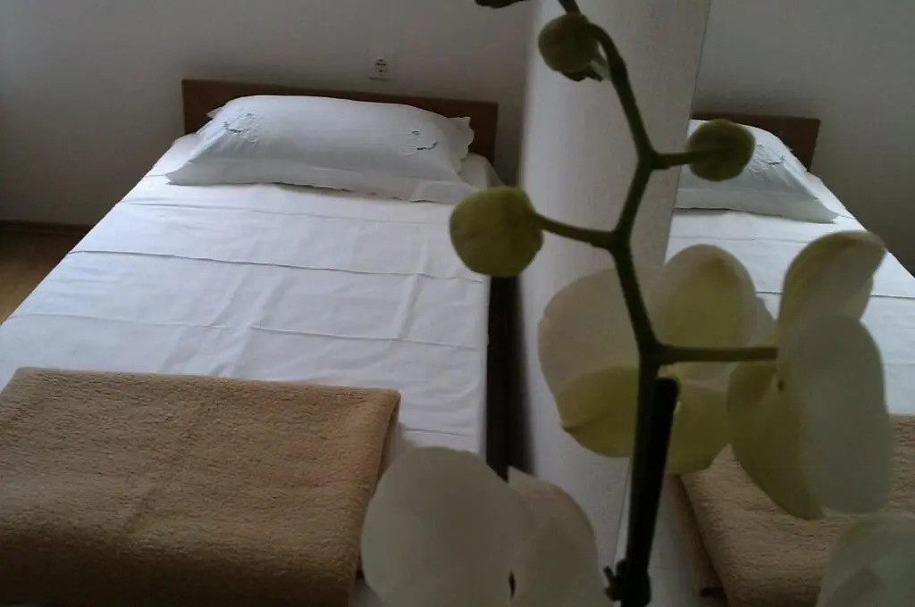Holiday Home Oliveta