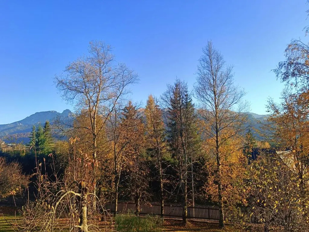 Willa Izydor, widok na Tatry, pyszne posiłki