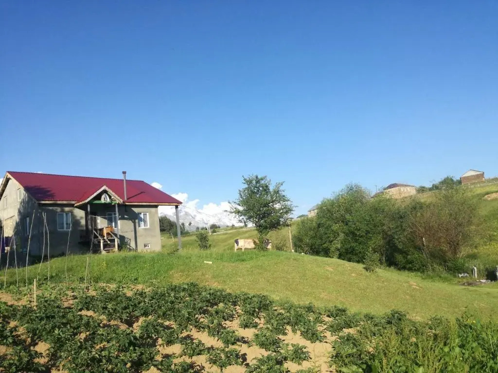 Lias Guest house Tsvirmi