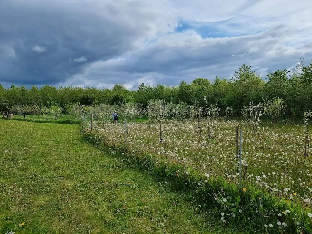 6 person holiday home in Aabenraa