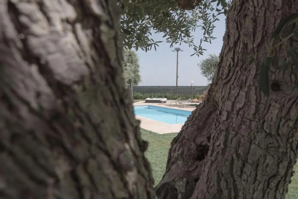Rosmat's house