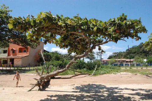 Pousada Joaripe