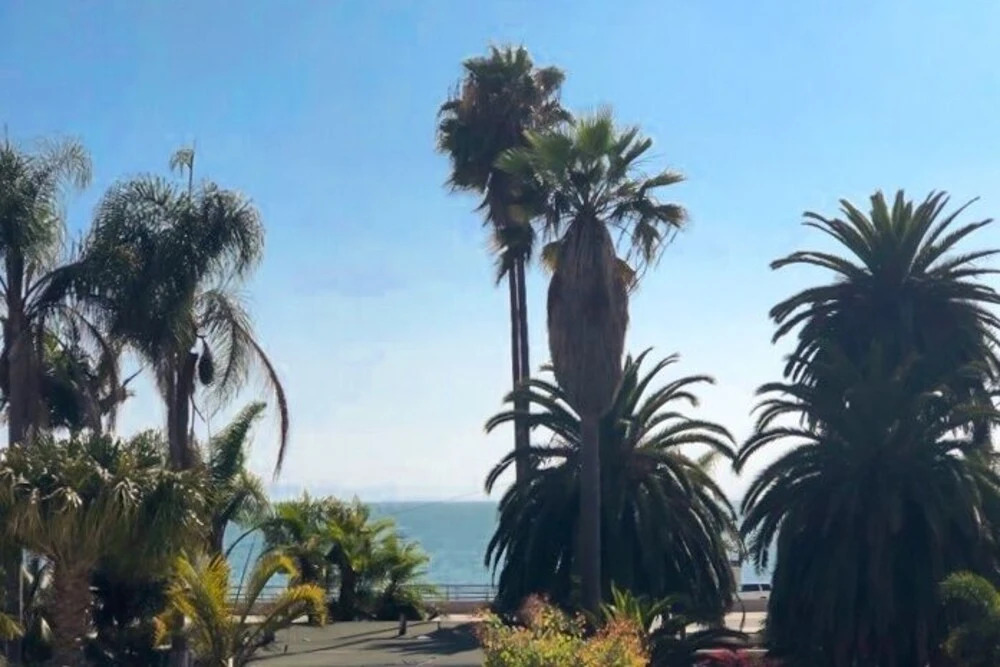 Ocean-View Hideaway W/ Lush Patio, Steps To Beach! Home