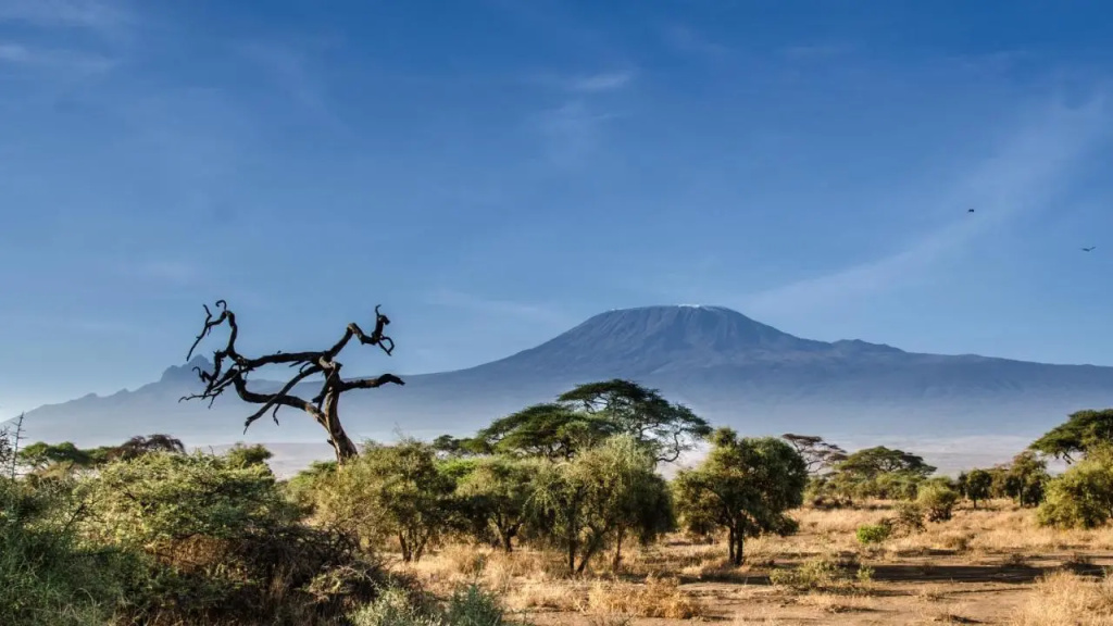 Sentrim Amboseli Lodge