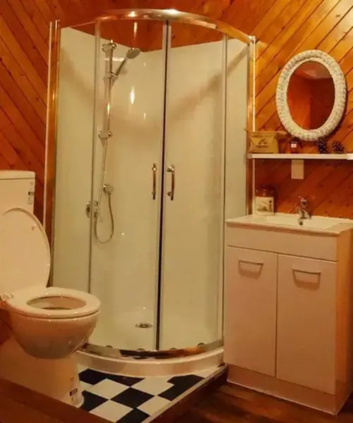 Comfort Inn And Suites Coachman