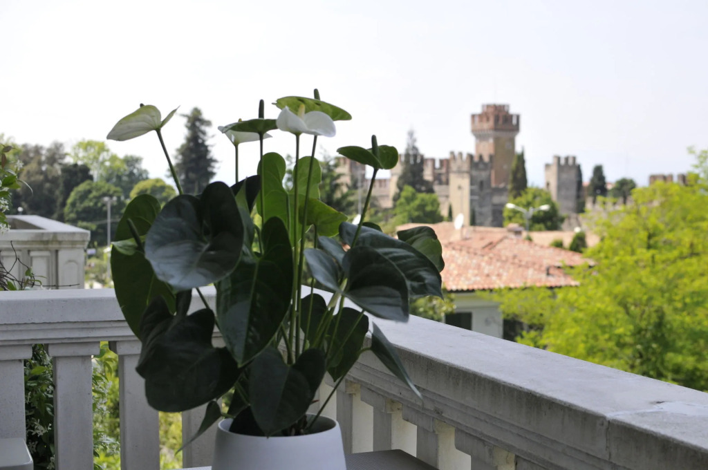 Отель Palazzo della Scala Spa Hotel Suites & Apartments