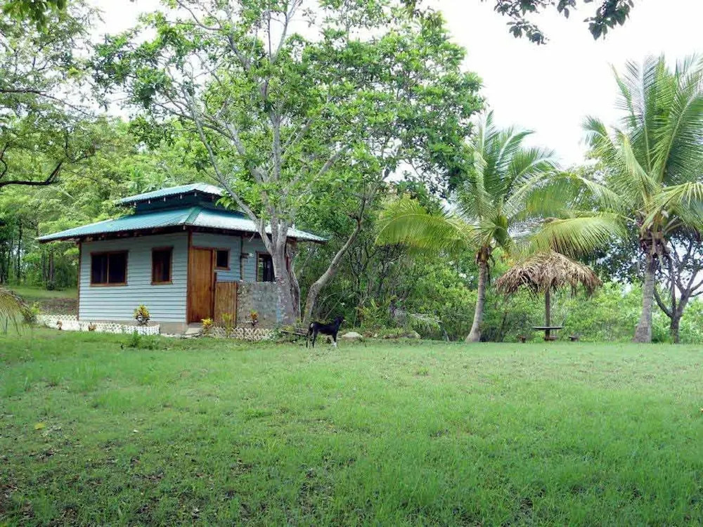 TreeTops Inn