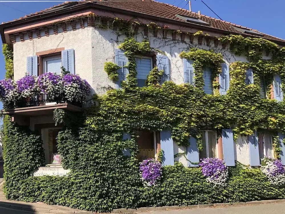 Holiday Apartment Monet in Oberrotweil