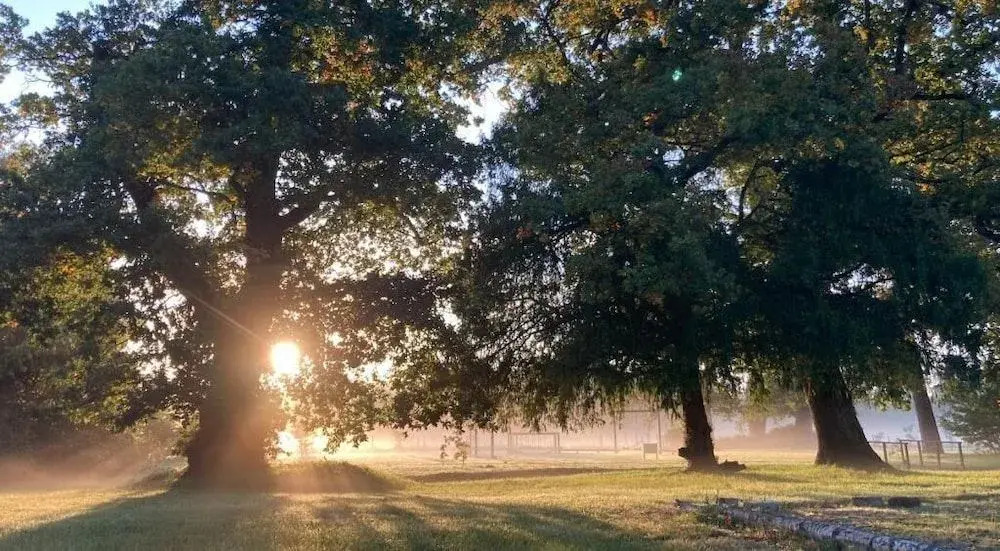The Retreat New Forest