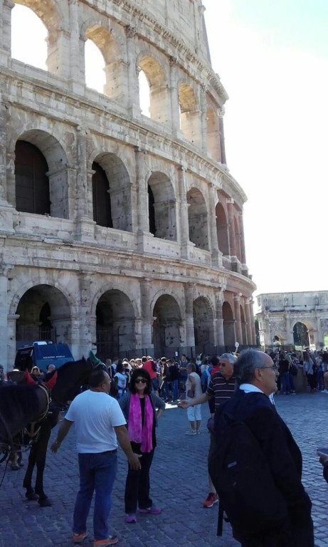 One bedroom appartement with city view and wifi at Roma