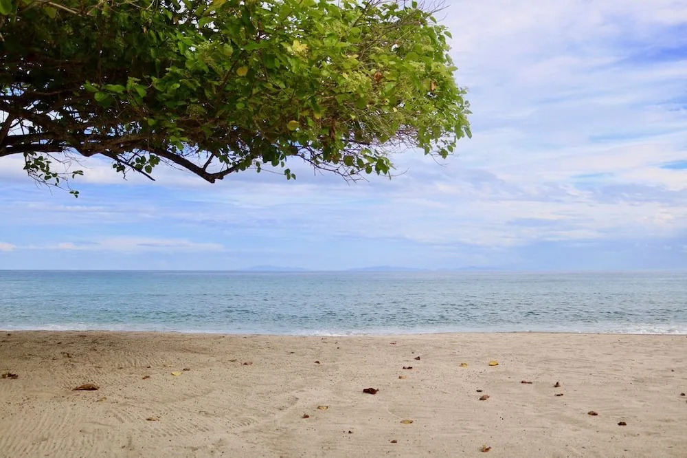 Cocoons Club Laiya