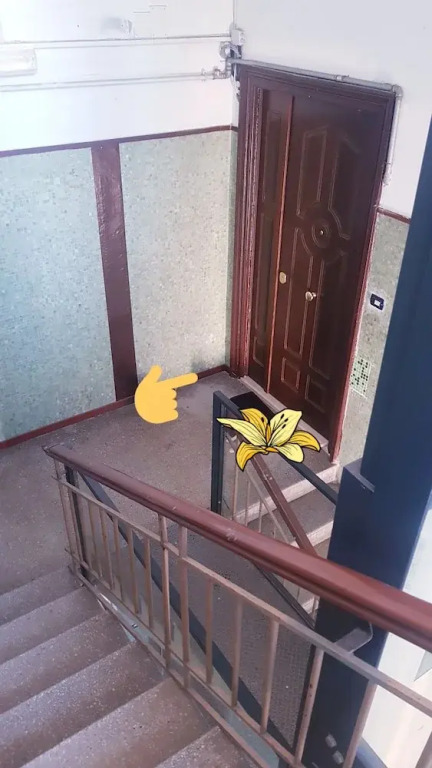 Bibi's Home