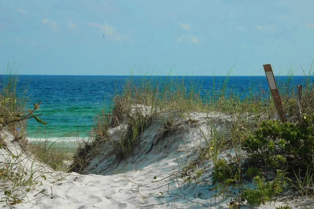 Town of Prominence 326b- Seaside Paradise