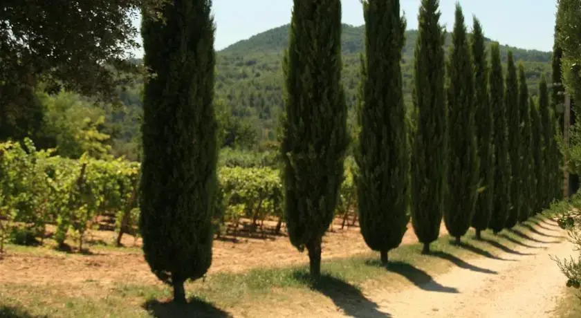 Le petit Bacalan