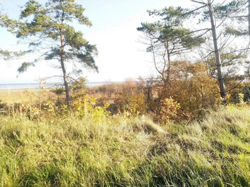 5 star holiday home in Hadsund