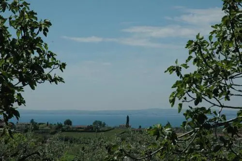 Agriturismo Tenuta la Pergola