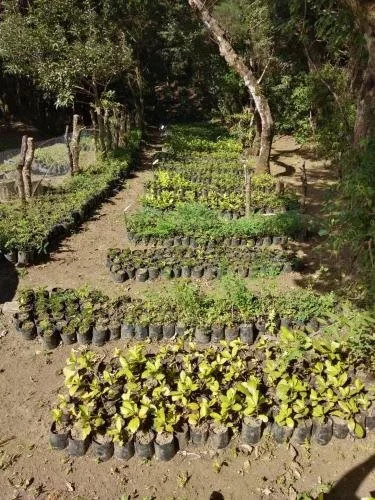 El Sueño B&B