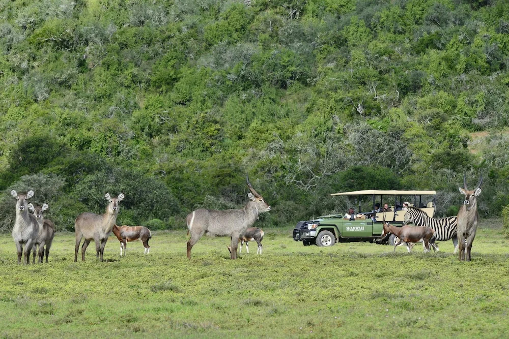 Shamwari Sarili Lodge