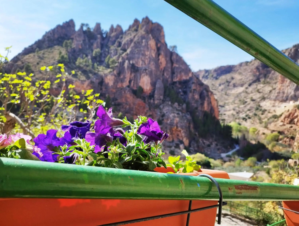 CASA RURAL CELIA con Escape Room y desayuno