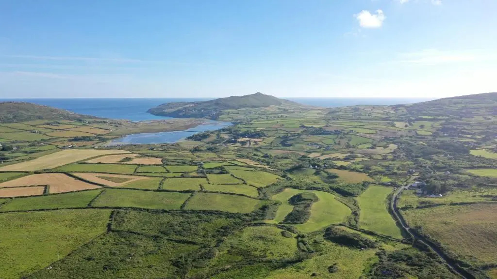 Mizen View